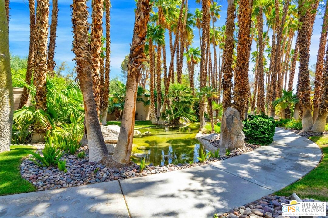 360 Cabrillo Road, Unit 220 Palm Springs, CA 92262 - Photo 39 of 57 a view of a yard with plants