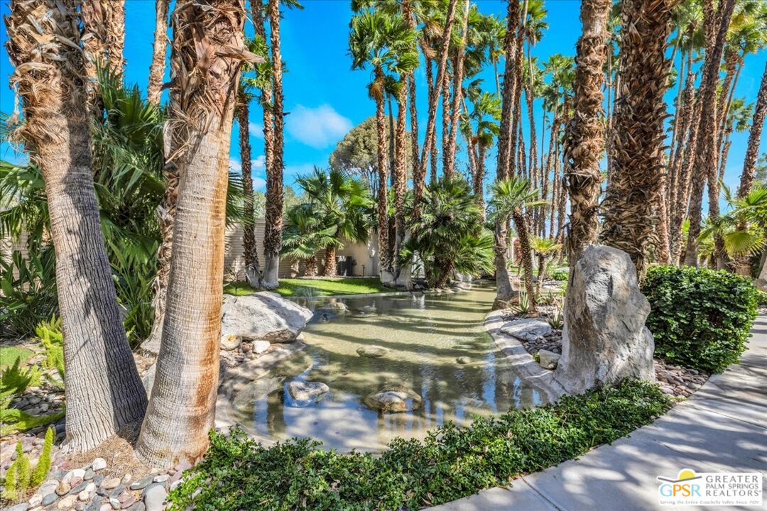360 Cabrillo Road, Unit 220 Palm Springs, CA 92262 - Photo 40 of 57 a view of a yard with plants and trees