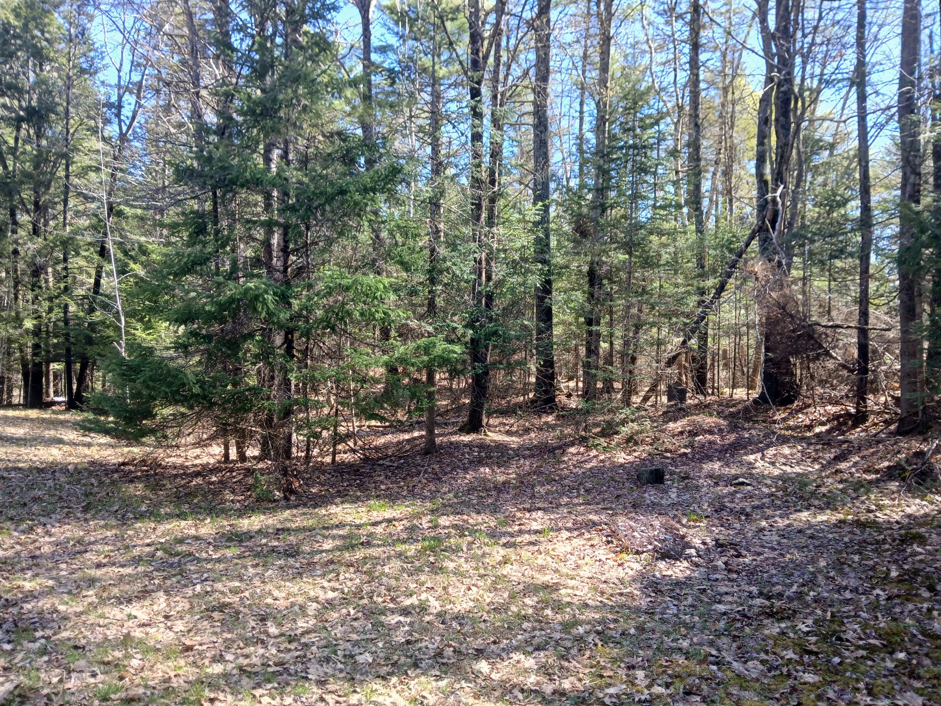 371 Carding Machine Road Bowdoinham, ME 04008 - Photo 2 of 18 20260507_100742