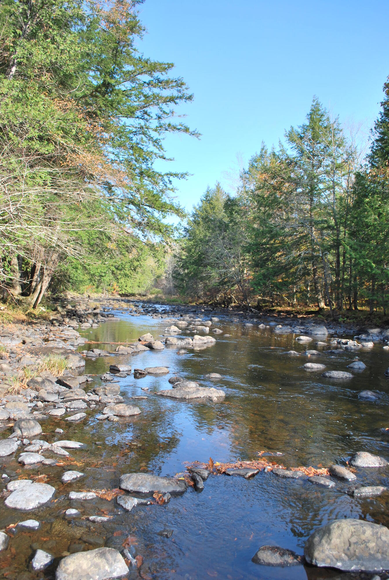 Lot 38-41 Castle Road Harmony, ME 04942 - Photo 29 of 38 Haskell Fall Pics 009