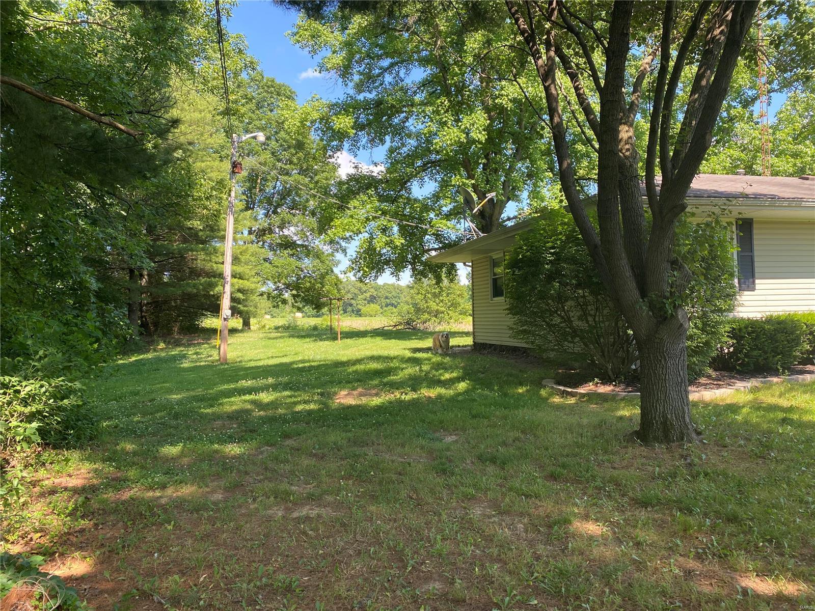 2660 Metcalf Road Iuka, IL 62849 - Photo 5 of 28