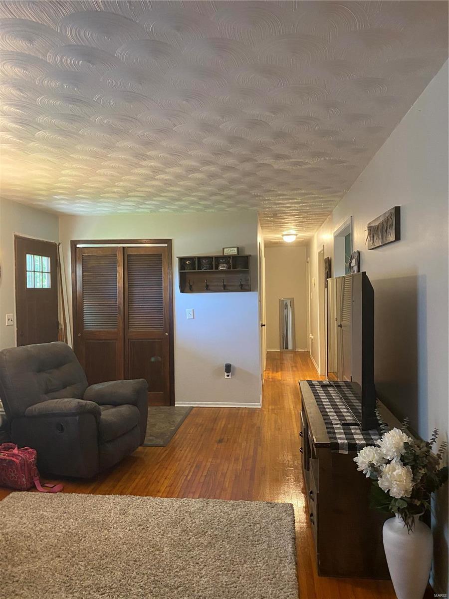 2660 Metcalf Road Iuka, IL 62849 - Photo 9 of 28