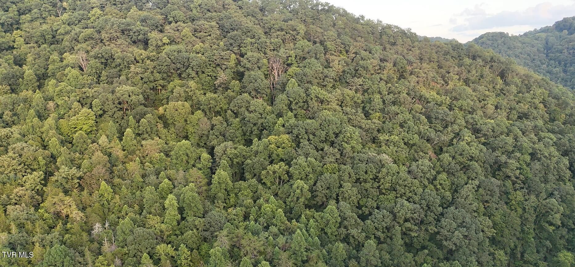0 Ford Branch Road Duffield, VA 24244 - Photo 12 of 15 Screenshot 2026-08-24 205155