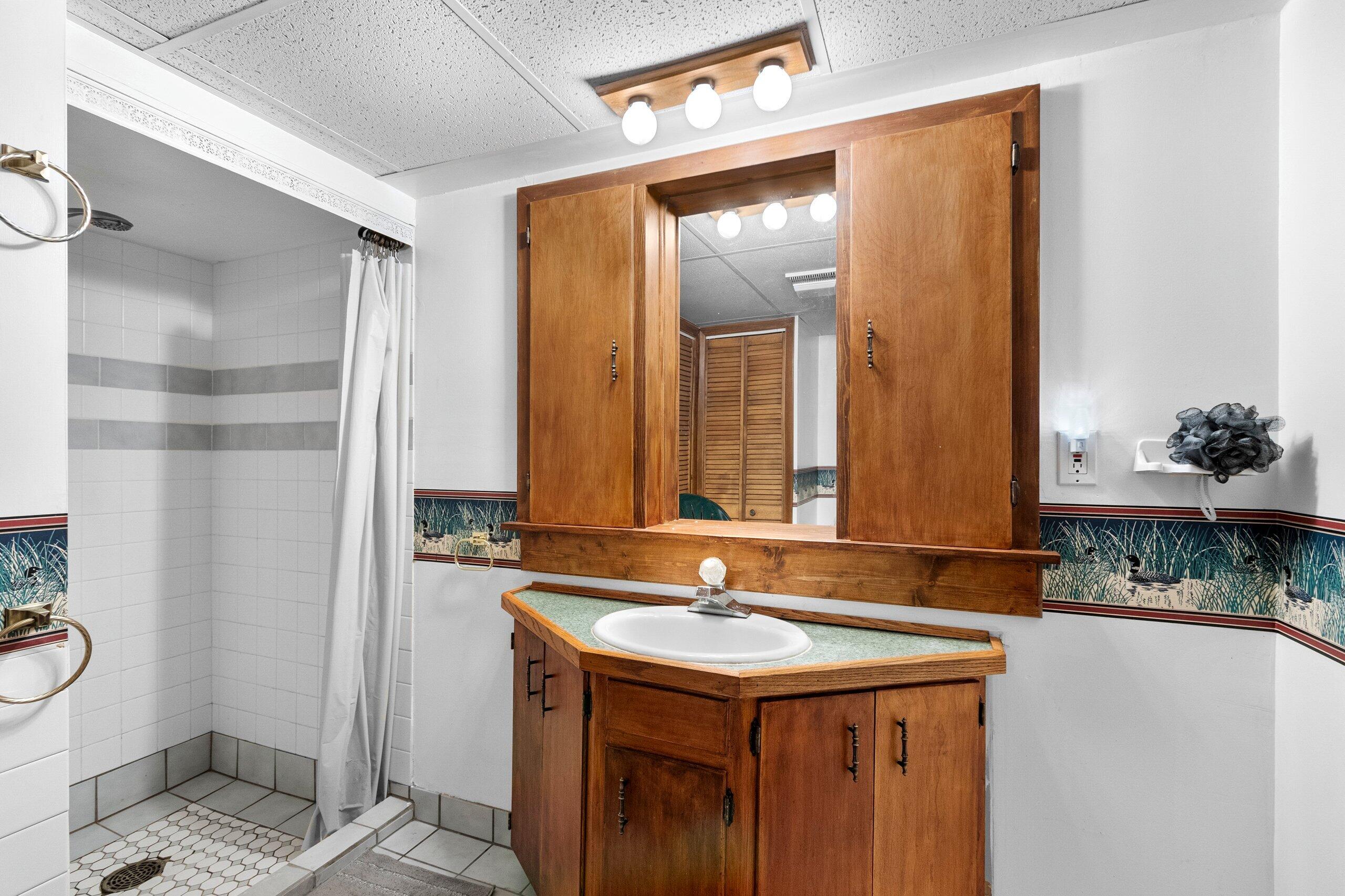 W7478 County Road 358 Daggett, MI 49821 - Photo 27 of 70 Lower Full Bath