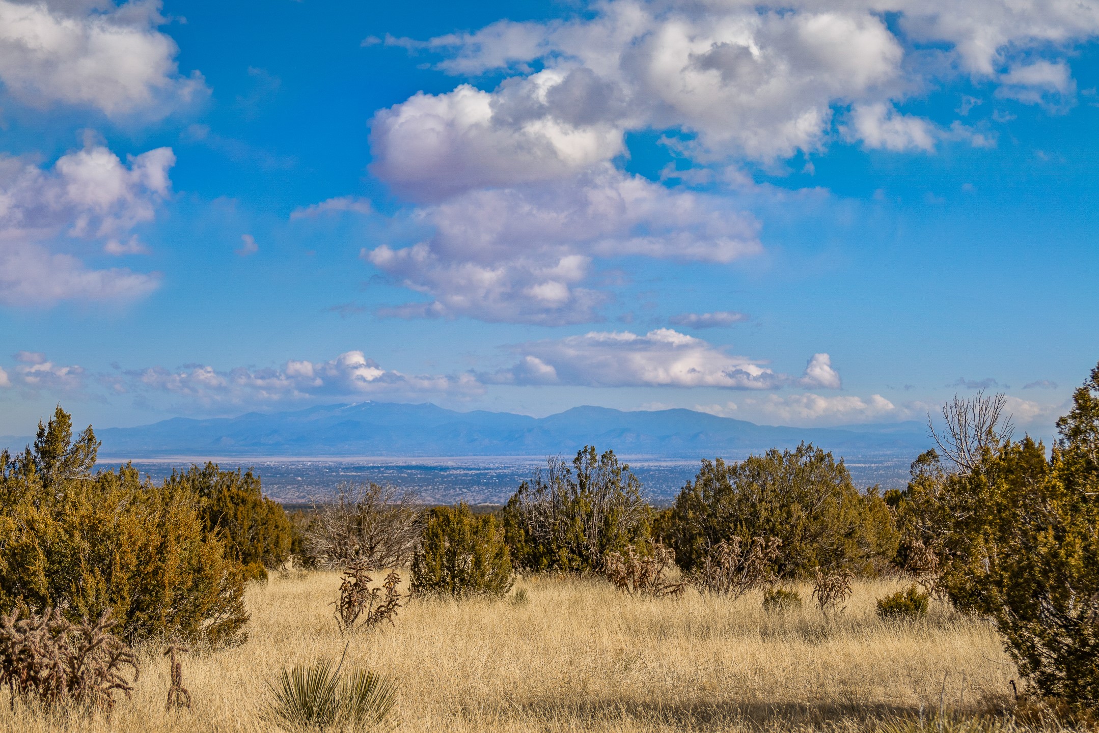 156 Wagon Trail Road Cerrillos, NM 87010 - Photo 1 of 24