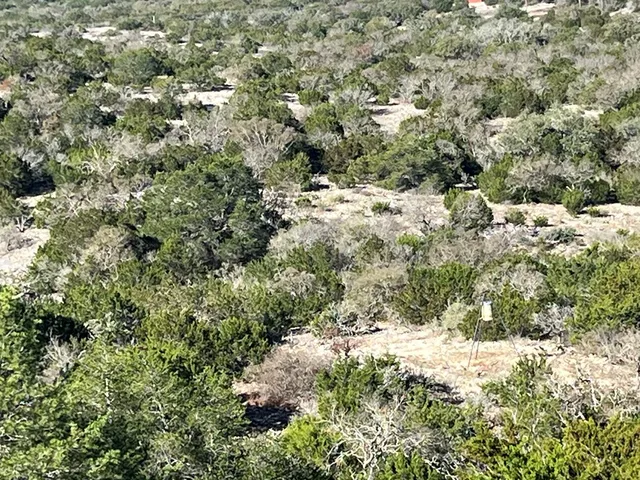 a view of a yard with trees
