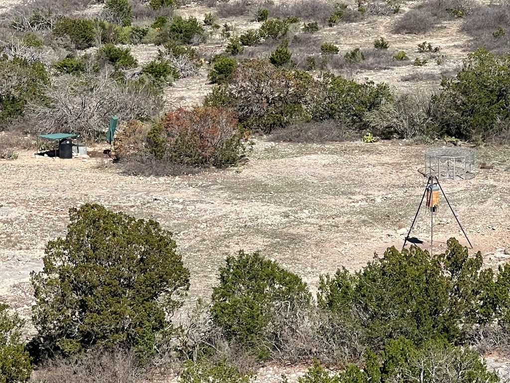 630 Cr 630 Rocksprings Tx 78880 Del Rio, TX 78840 - Photo 6 of 11