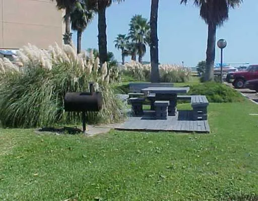 a view of a garden with a bench