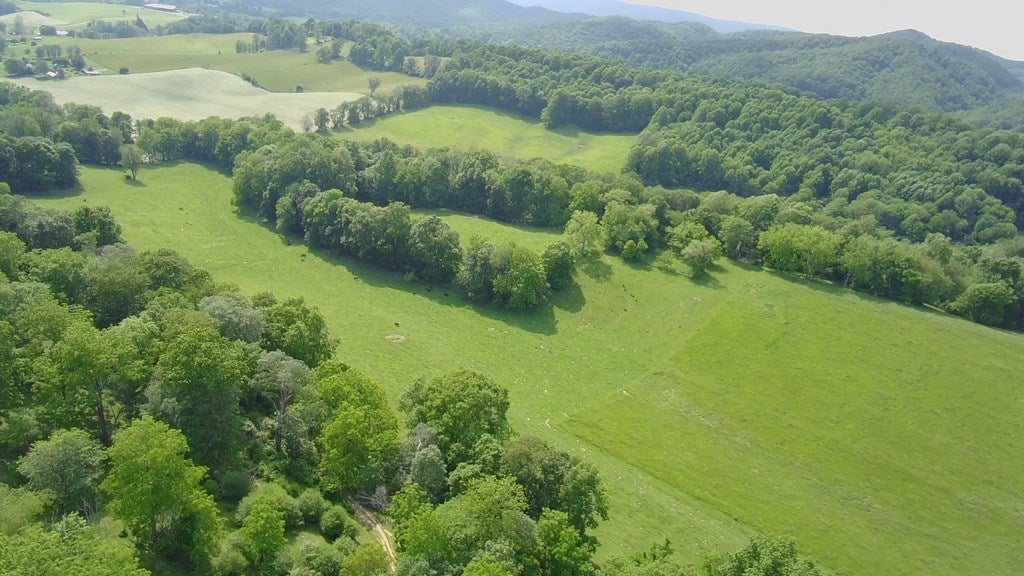 Tbd Davis Valley Road Rural Retreat, VA 24368 - Photo 10 of 25 Gallery Image 10