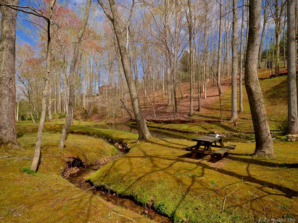 591 Reeves Cove Road Candler, NC 28715 - Photo 17 of 24 Gallery Image 17