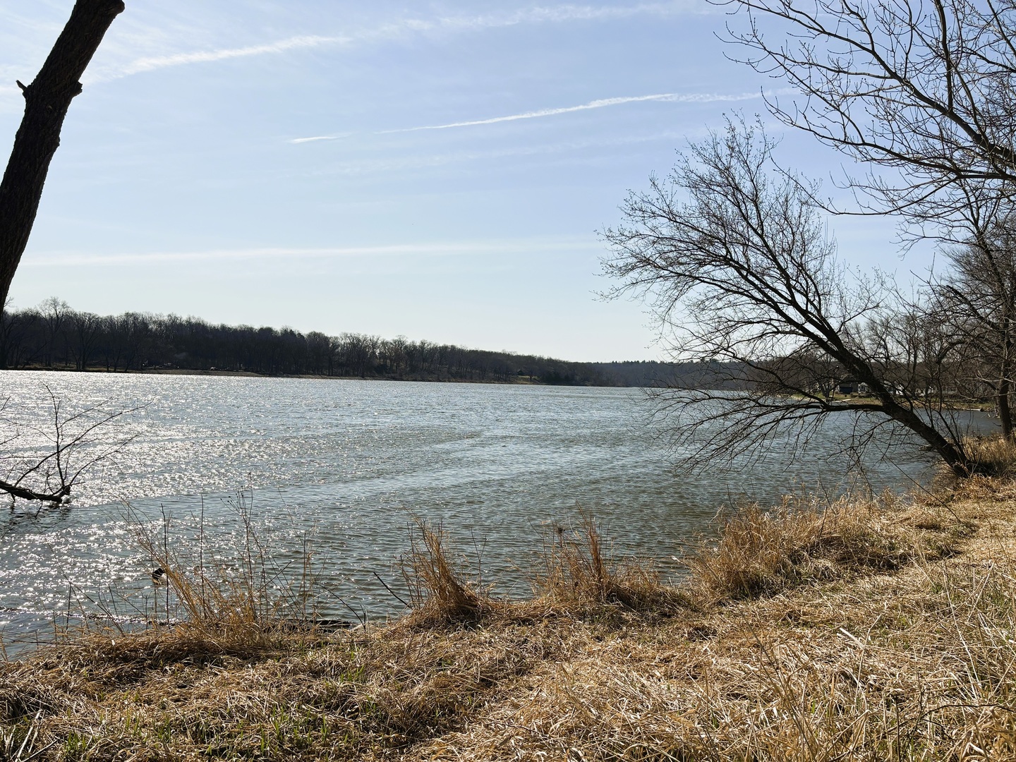 7887 South Lowell Park Road Dixon, IL 61021 - Photo 12 of 25