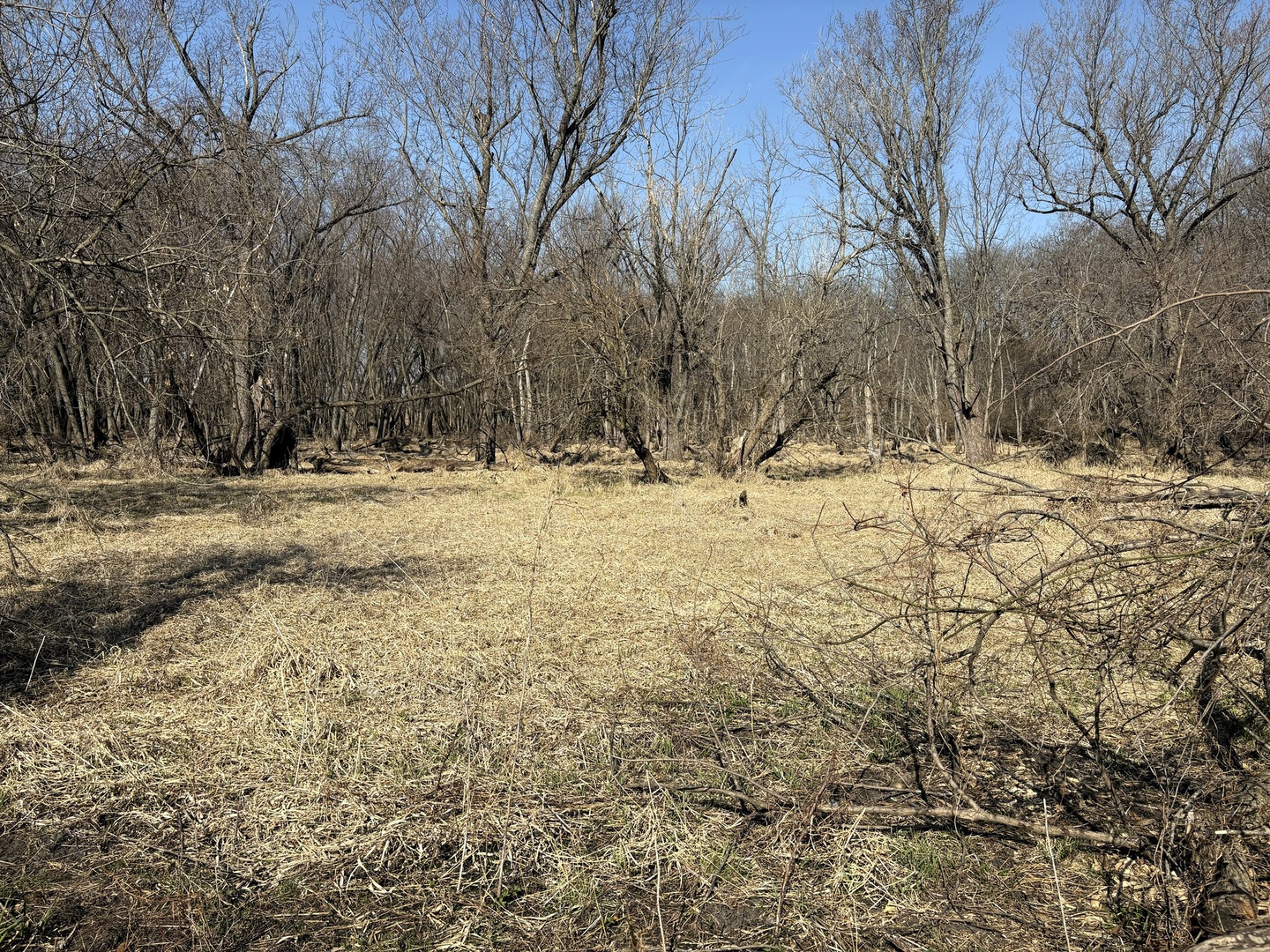 7887 South Lowell Park Road Dixon, IL 61021 - Photo 15 of 25