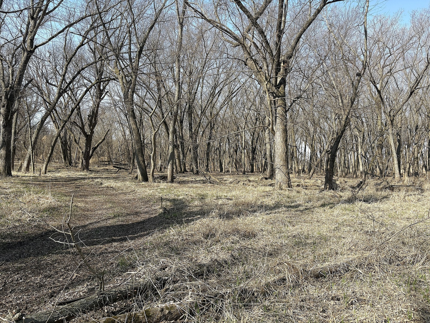 7887 South Lowell Park Road Dixon, IL 61021 - Photo 16 of 25