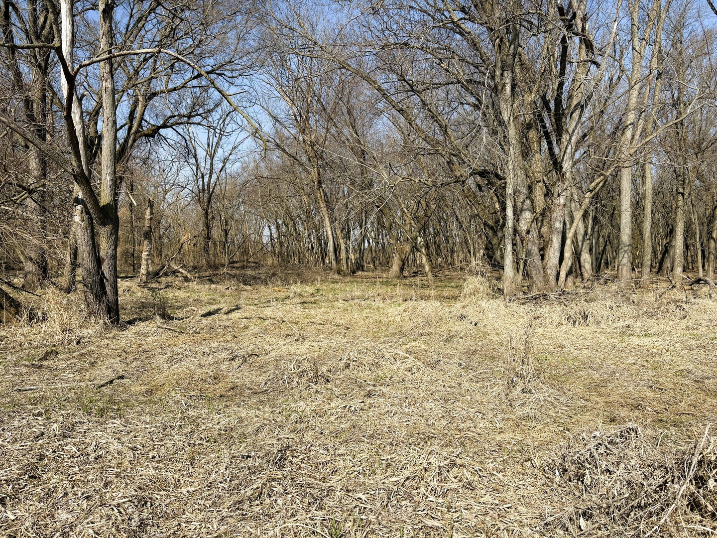 7887 South Lowell Park Road Dixon, IL 61021 - Photo 20 of 25