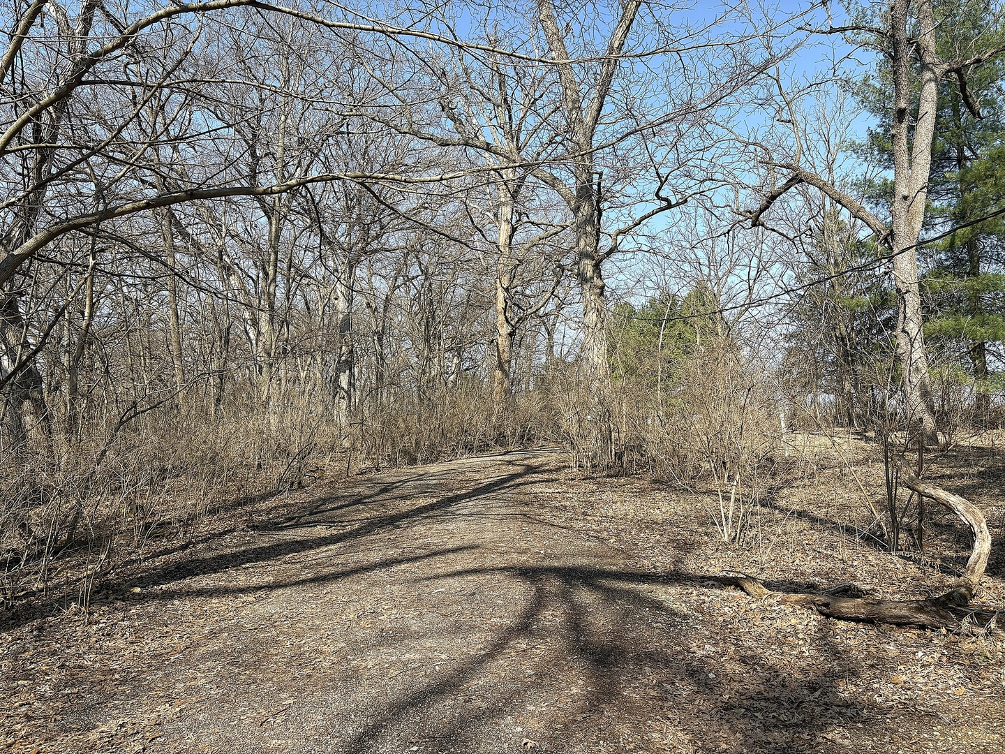 7887 South Lowell Park Road Dixon, IL 61021 - Photo 2 of 25