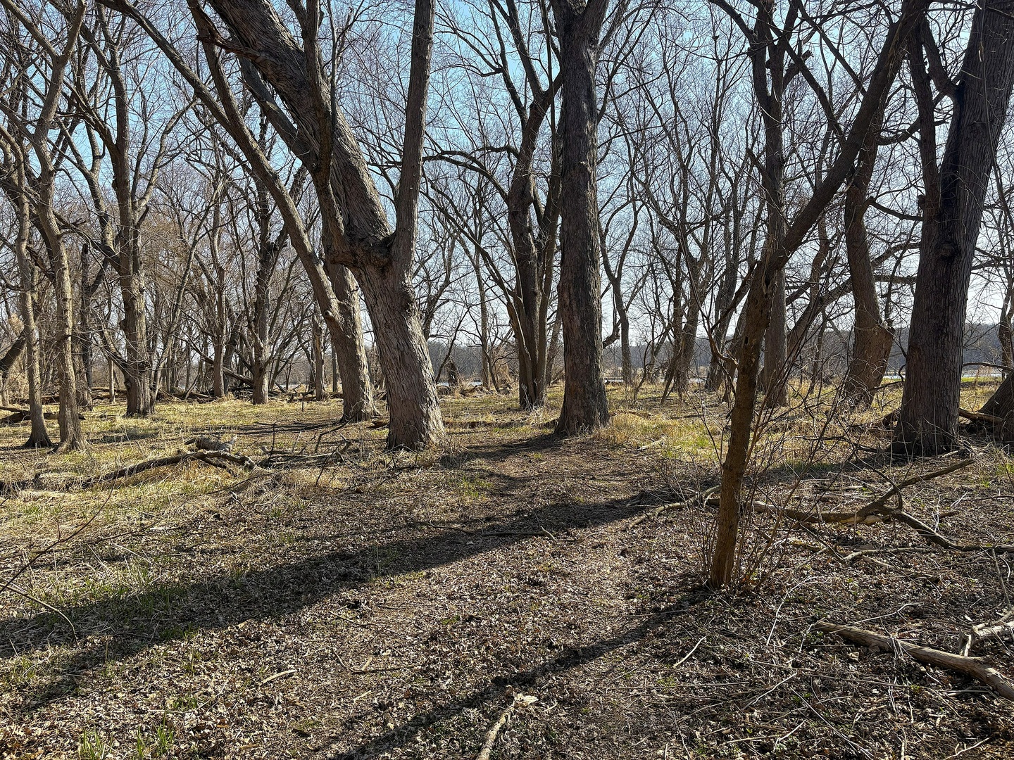 7887 South Lowell Park Road Dixon, IL 61021 - Photo 22 of 25