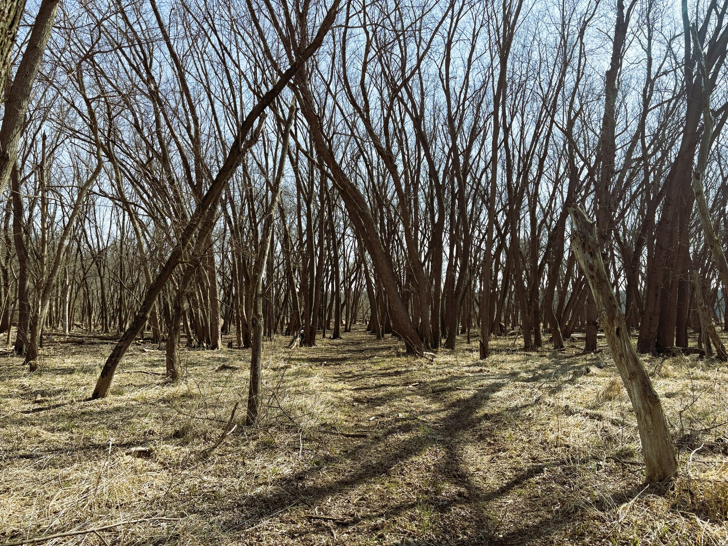 7887 South Lowell Park Road Dixon, IL 61021 - Photo 23 of 25