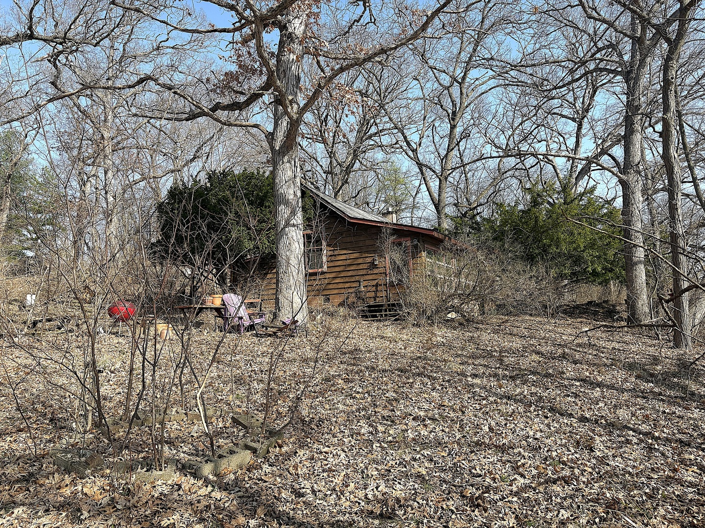 7887 South Lowell Park Road Dixon, IL 61021 - Photo 3 of 25