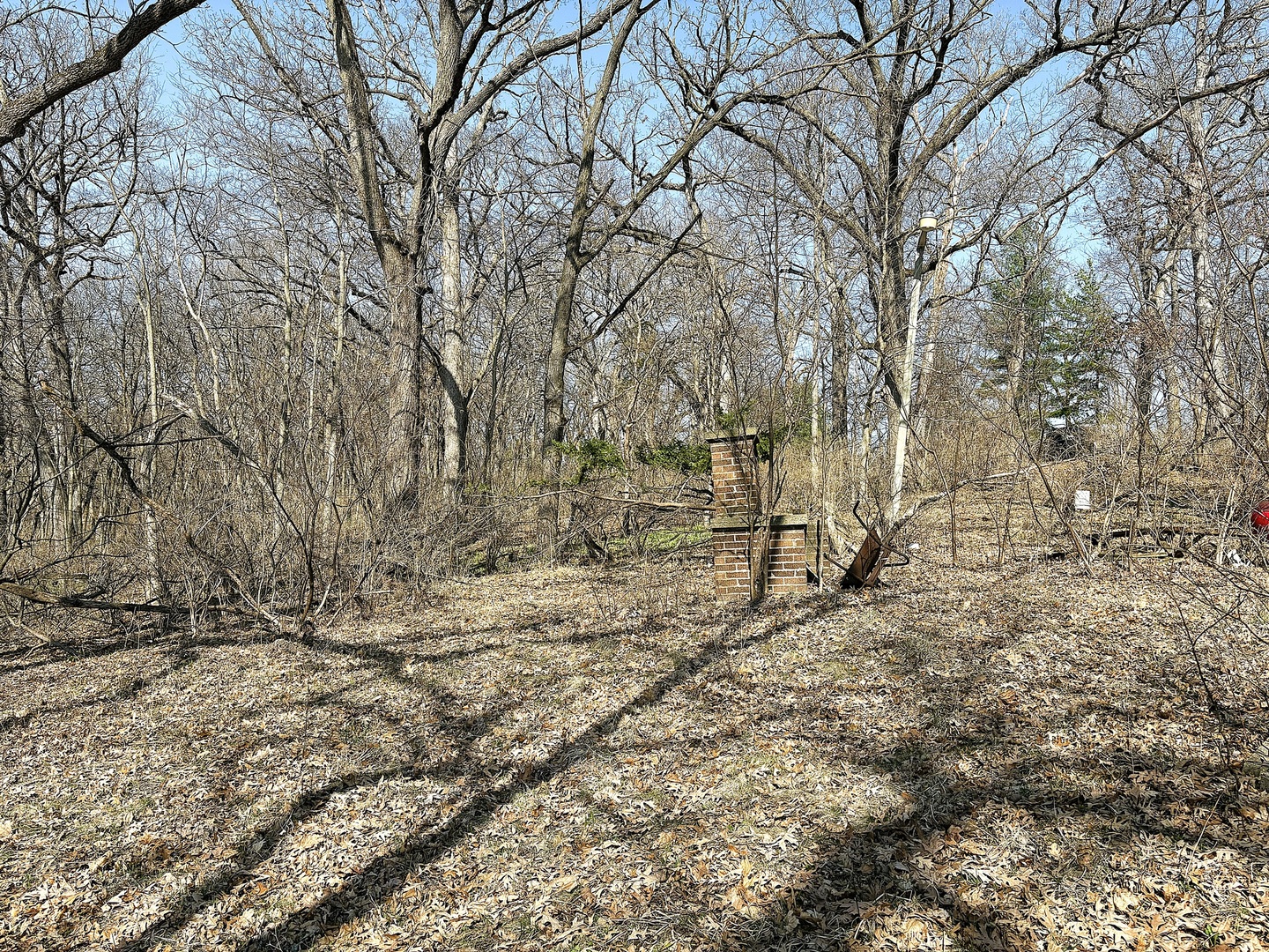 7887 South Lowell Park Road Dixon, IL 61021 - Photo 6 of 25