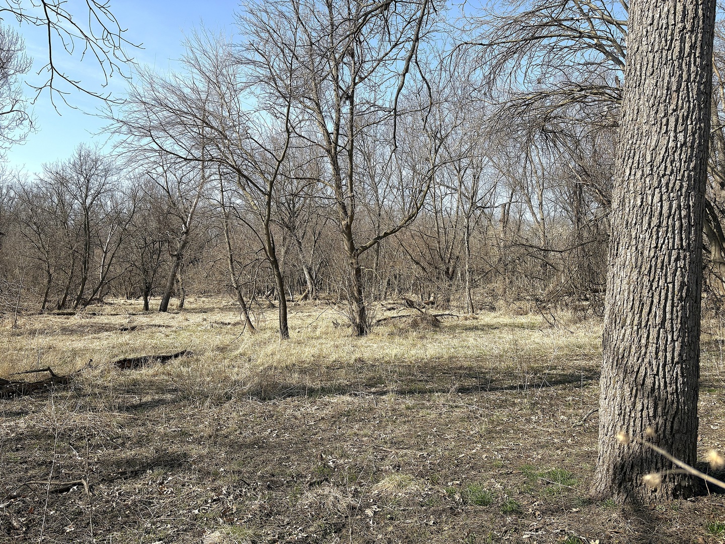 7887 South Lowell Park Road Dixon, IL 61021 - Photo 9 of 25