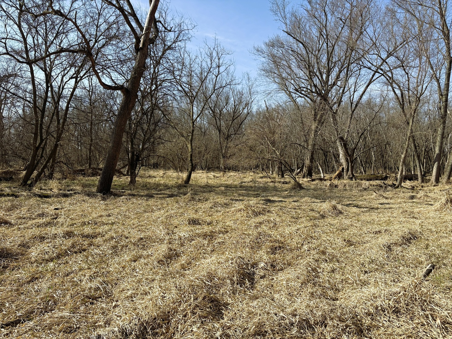 7887 South Lowell Park Road Dixon, IL 61021 - Photo 10 of 25