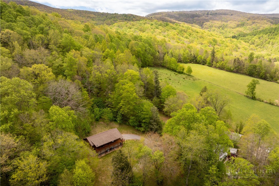 280 Moss Hill Road Boone, NC 28607 - Photo 3 of 44