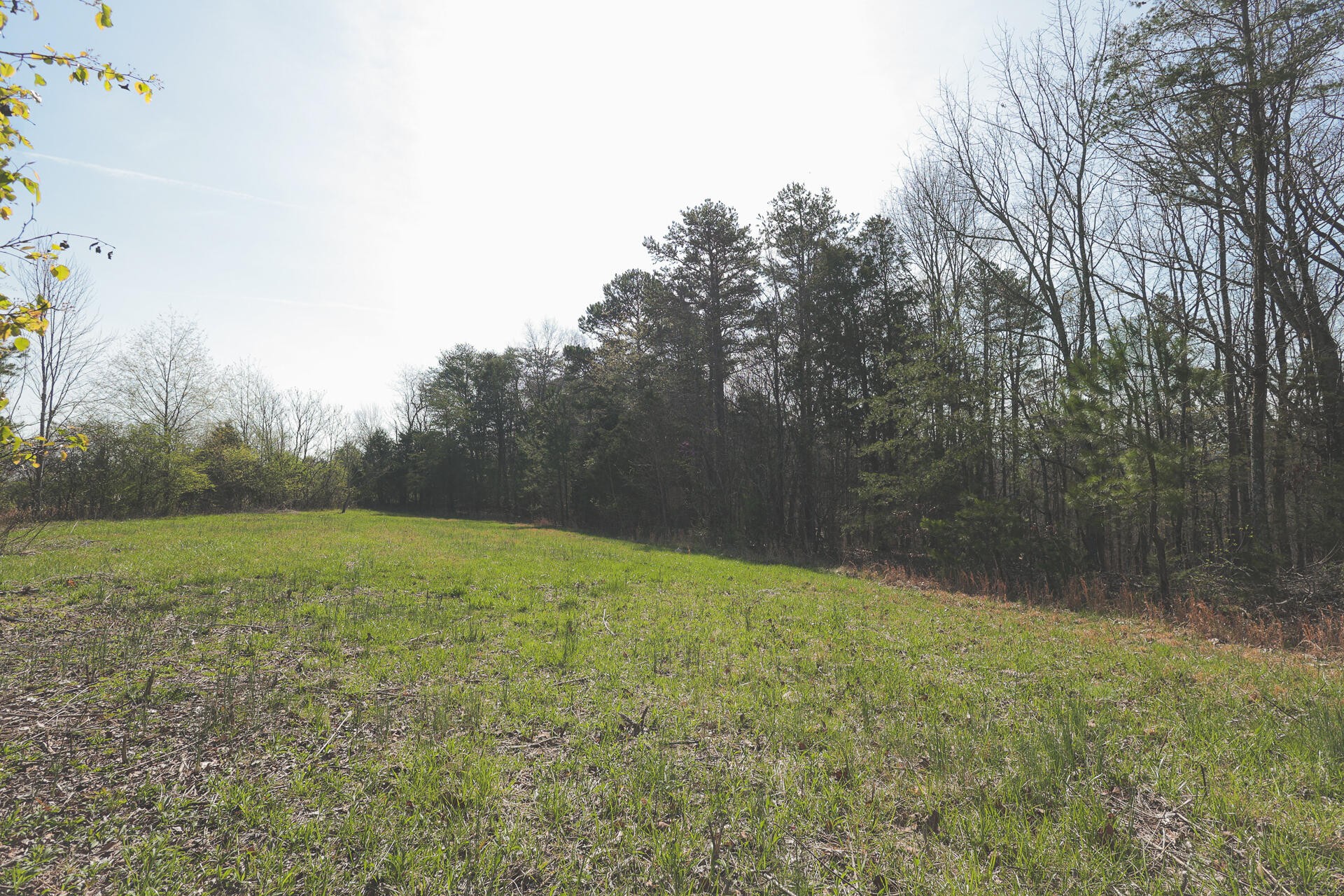 527 Dyer Hollow Road Dayton, TN 37321 - Photo 34 of 61 Gallery Image 34