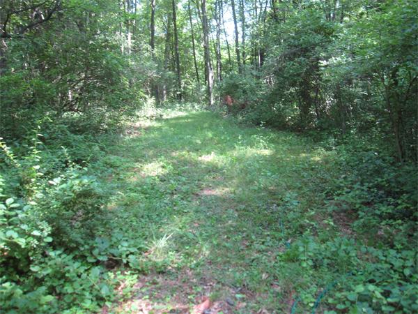 76 Flanders Road Westborough, MA 01581 - Photo 26 of 30 Gallery Image 26