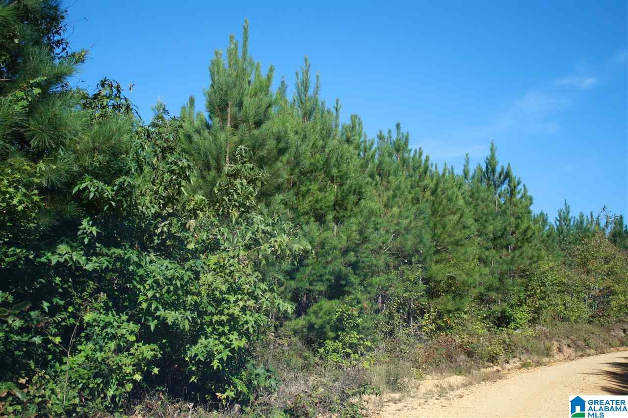 0 County Road 256 Clanton, AL 35046 - Photo 1 of 4
