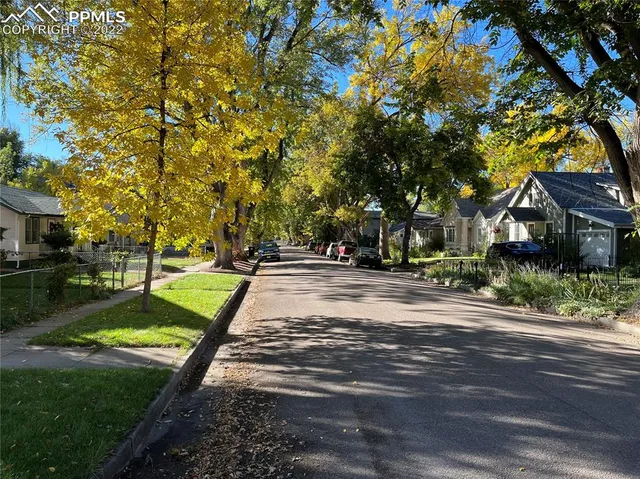 a view of park with large trees