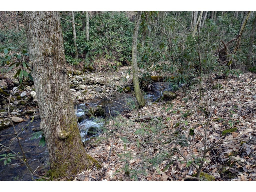 359 Hodge Branch Road Elizabethton, TN 37643 - Photo 19 of 21 Photo 19