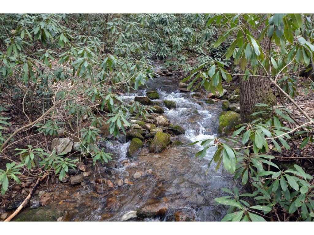 359 Hodge Branch Road Elizabethton, TN 37643 - Photo 21 of 21 Photo 21