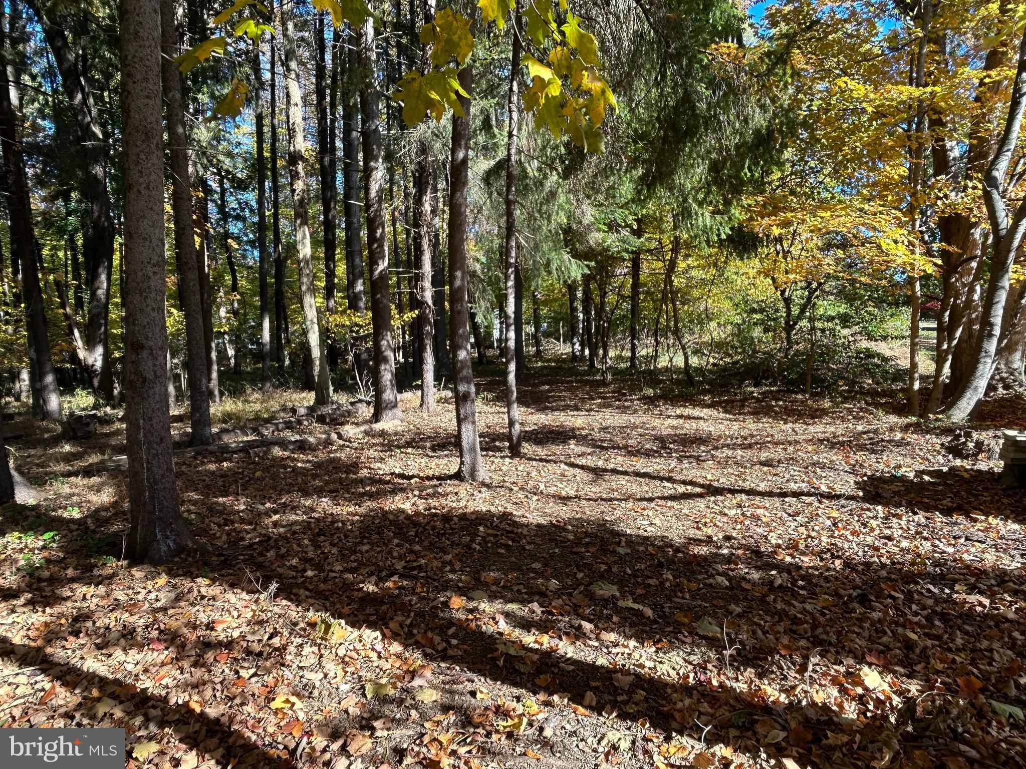 153 Ash Way Doylestown, PA 18901 - Photo 4 of 7 Time to explore!