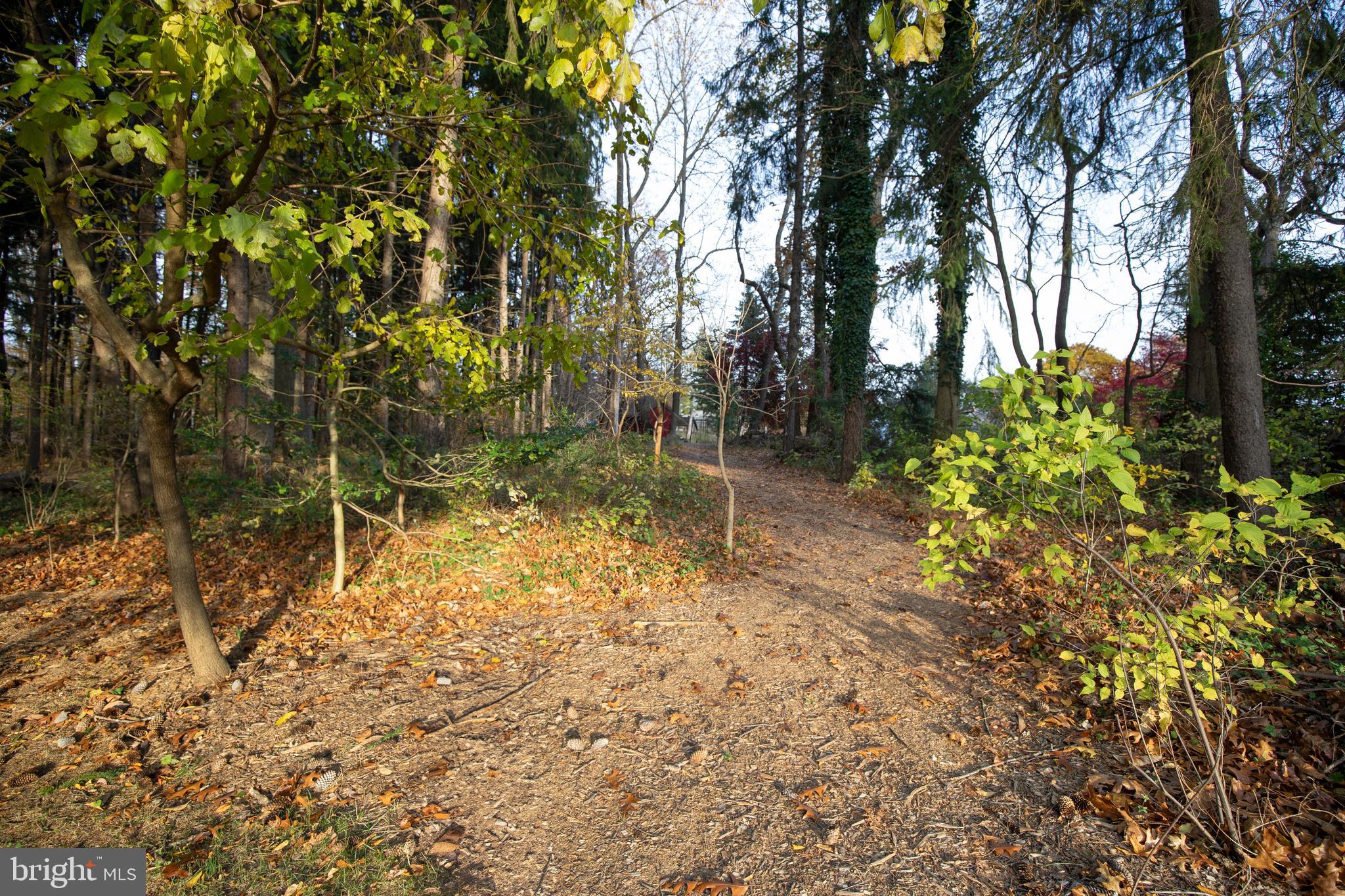 153 Ash Way Doylestown, PA 18901 - Photo 62 of 74