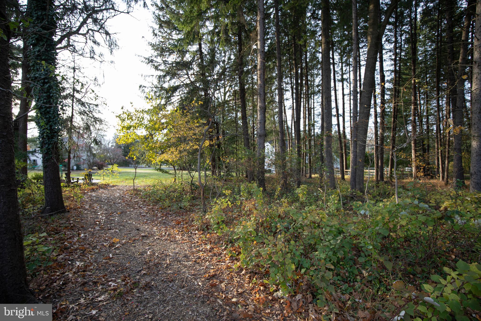 153 Ash Way Doylestown, PA 18901 - Photo 63 of 74