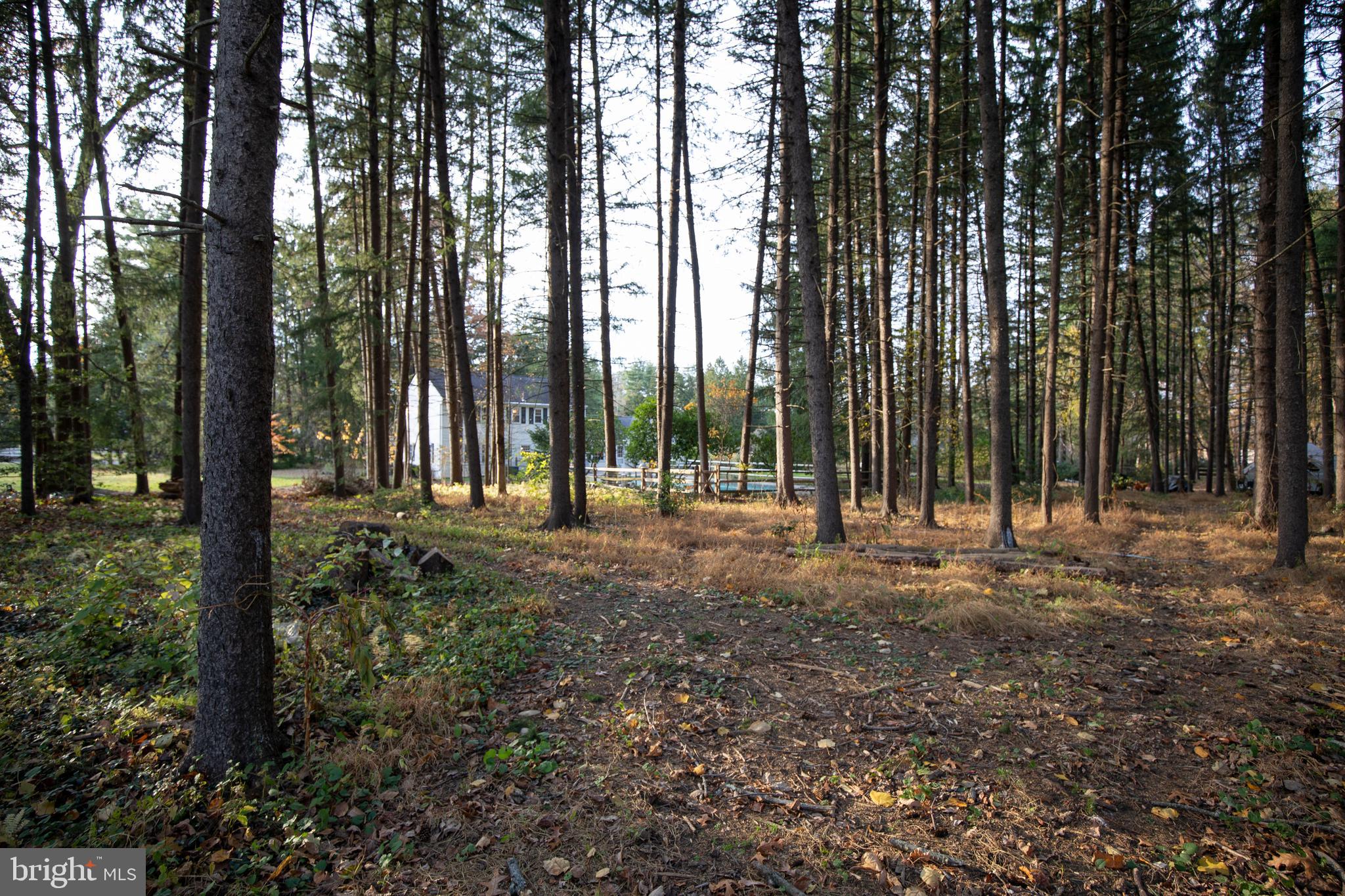 153 Ash Way Doylestown, PA 18901 - Photo 64 of 74