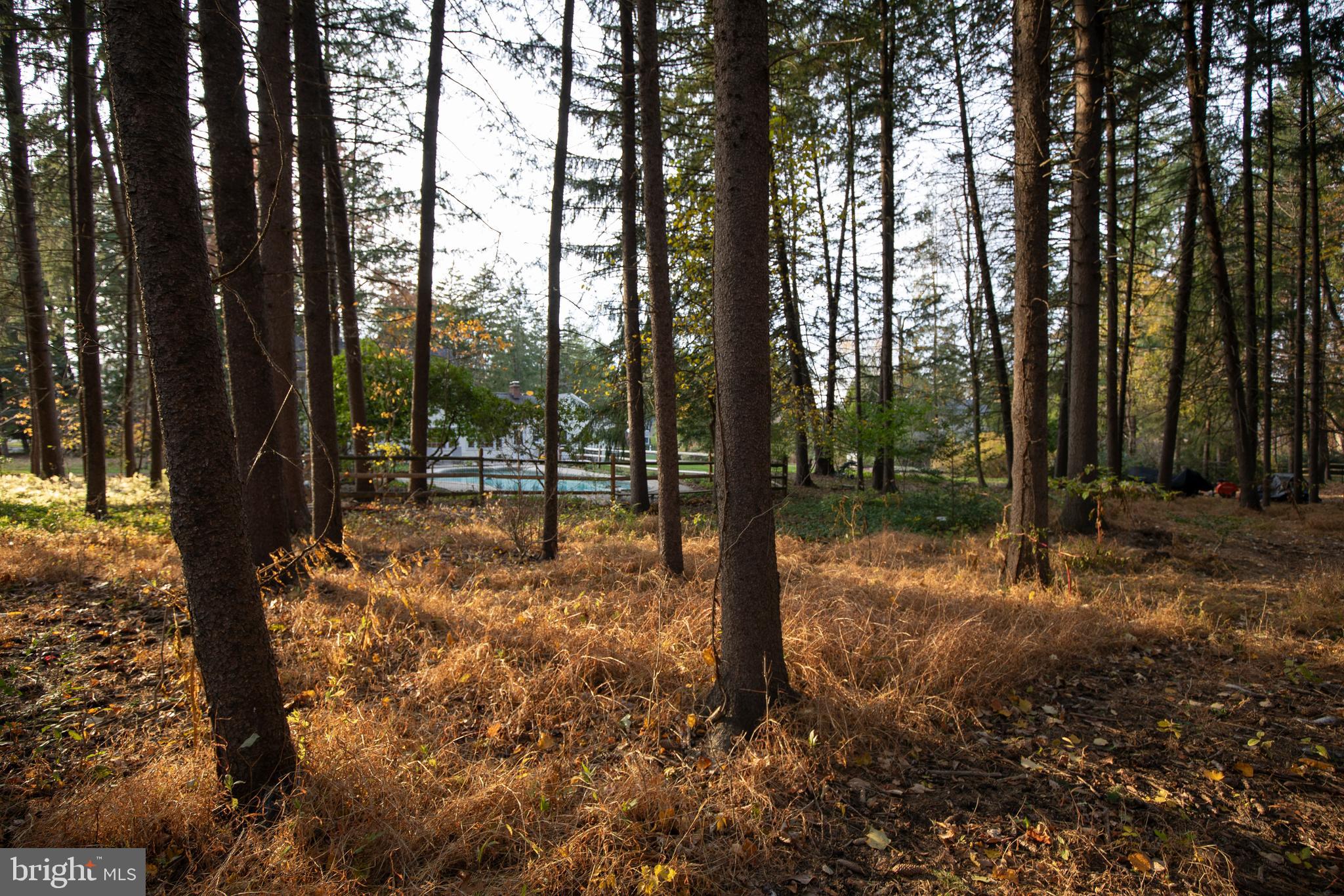 153 Ash Way Doylestown, PA 18901 - Photo 65 of 74