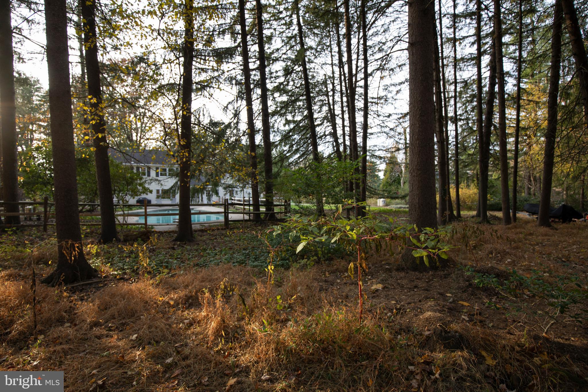 153 Ash Way Doylestown, PA 18901 - Photo 66 of 74