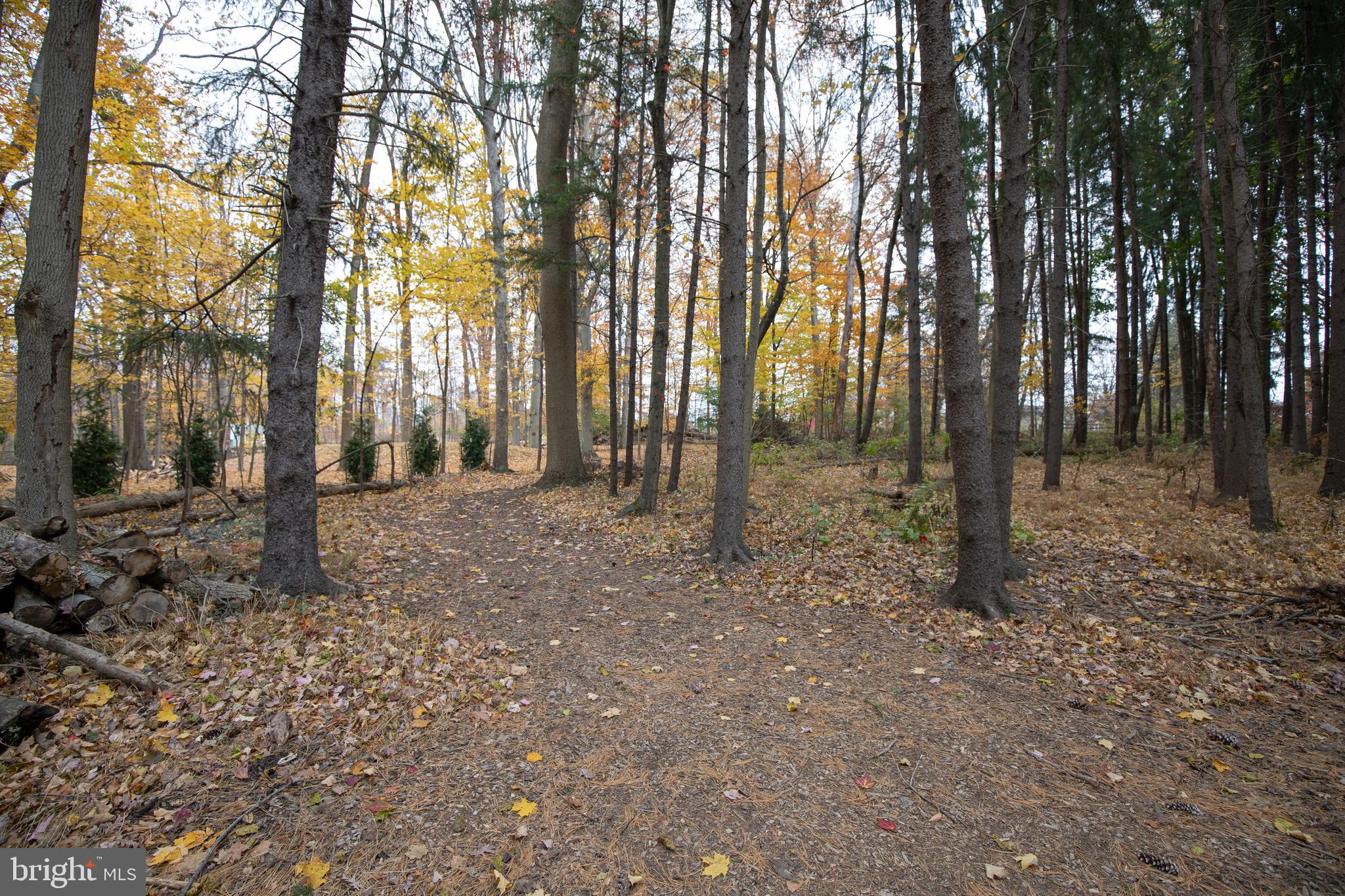 153 Ash Way Doylestown, PA 18901 - Photo 70 of 74