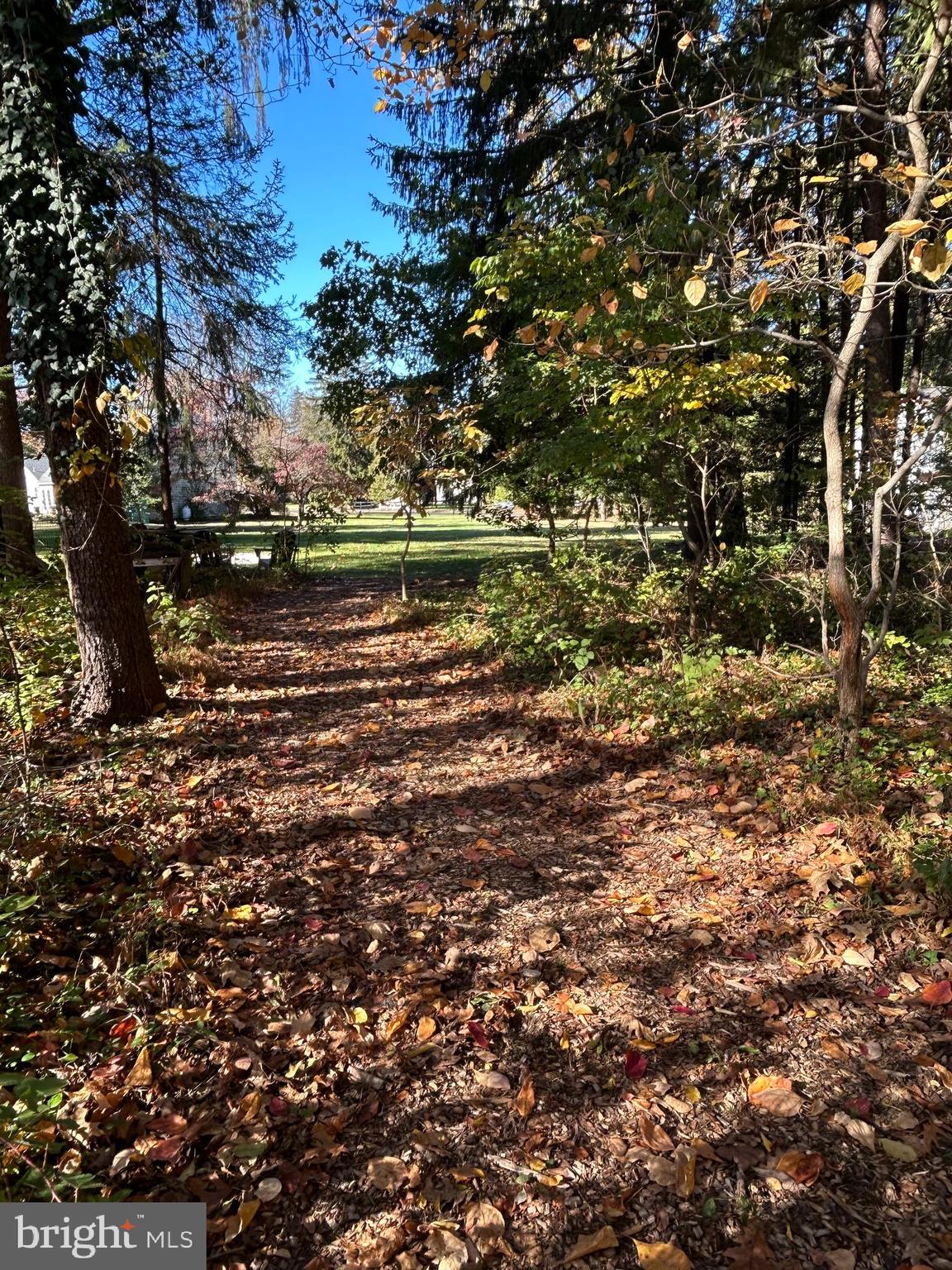 153 Ash Way Doylestown, PA 18901 - Photo 10 of 74