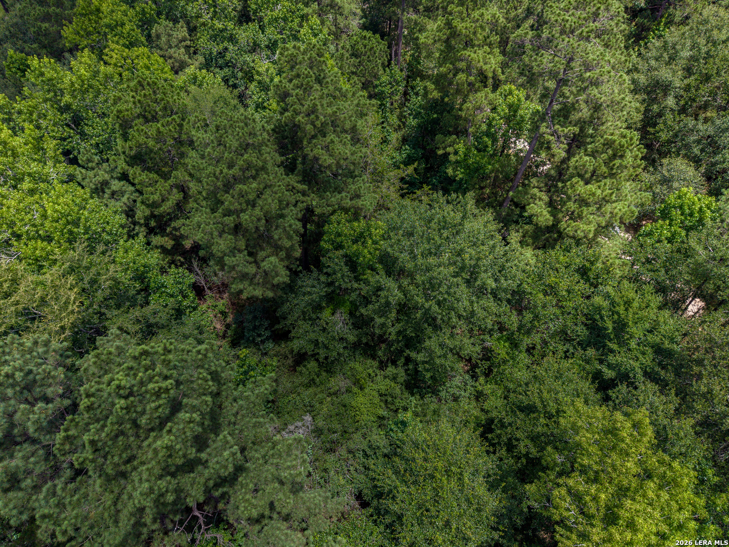 0 Zapata Way Willis, TX 77378 - Photo 8 of 40