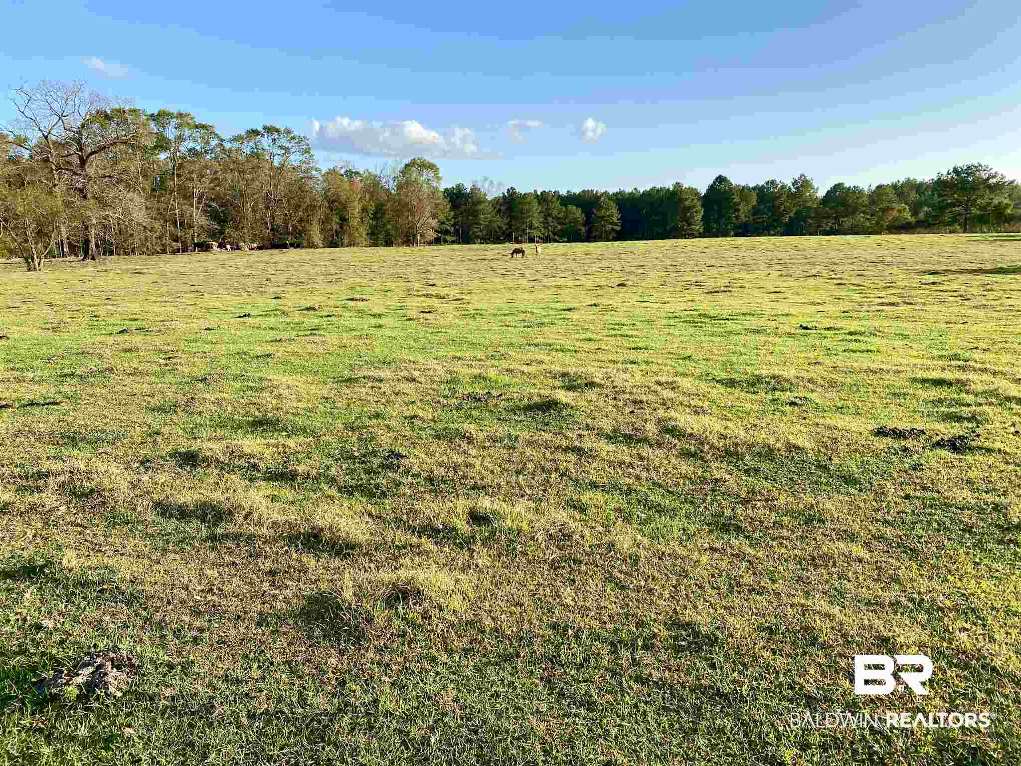 0 Country Road Fruitdale, AL 36539 - Photo 40 of 47