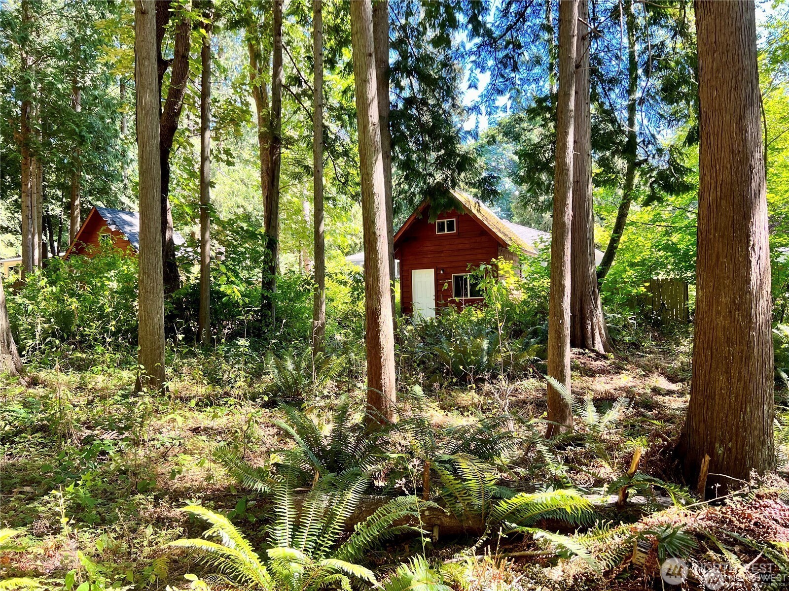 158 Tyee Drive Point Roberts, WA 98281 - Photo 11 of 14 a view of a garden with a tree