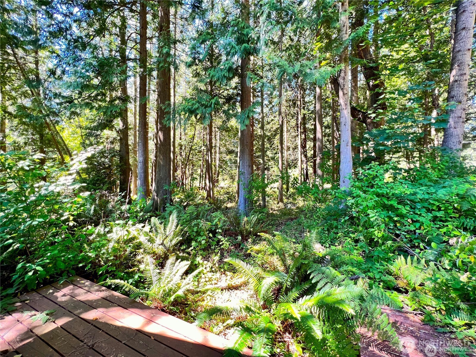 158 Tyee Drive Point Roberts, WA 98281 - Photo 14 of 14 a backyard of a house with lots of green space and garden