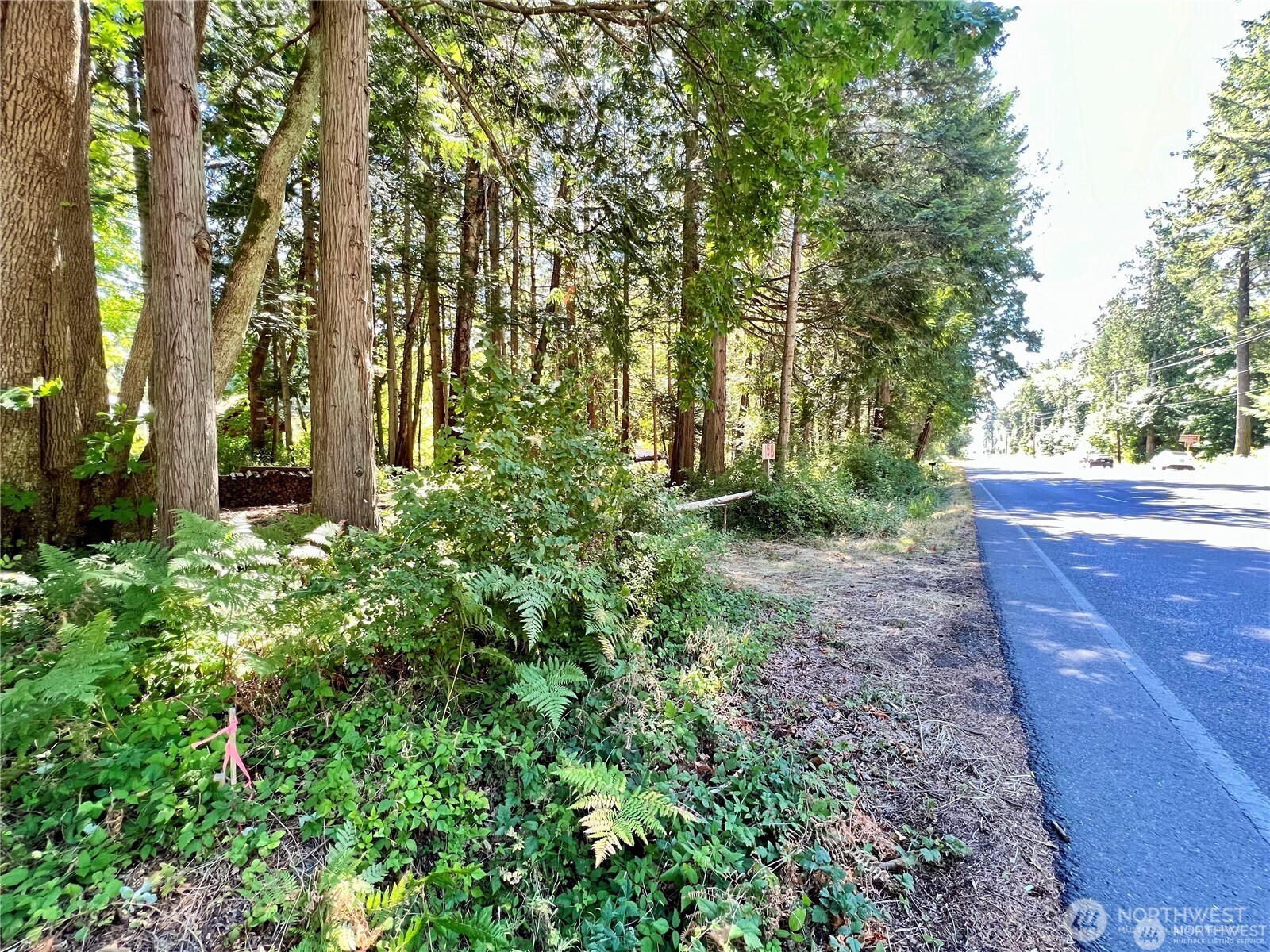 158 Tyee Drive Point Roberts, WA 98281 - Photo 5 of 14 a view of backyard with green space