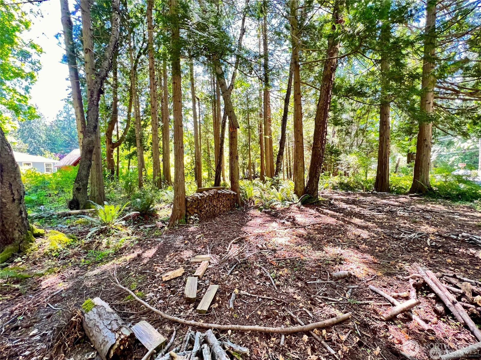 158 Tyee Drive Point Roberts, WA 98281 - Photo 8 of 14 a view of backyard with green space