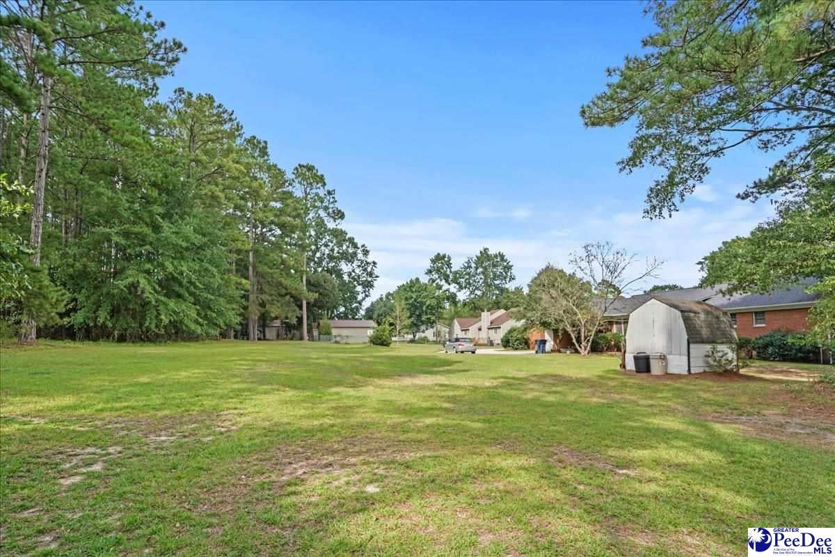 332 Ridge Road Cheraw, SC 29520 - Photo 47 of 51 Gallery Image 47
