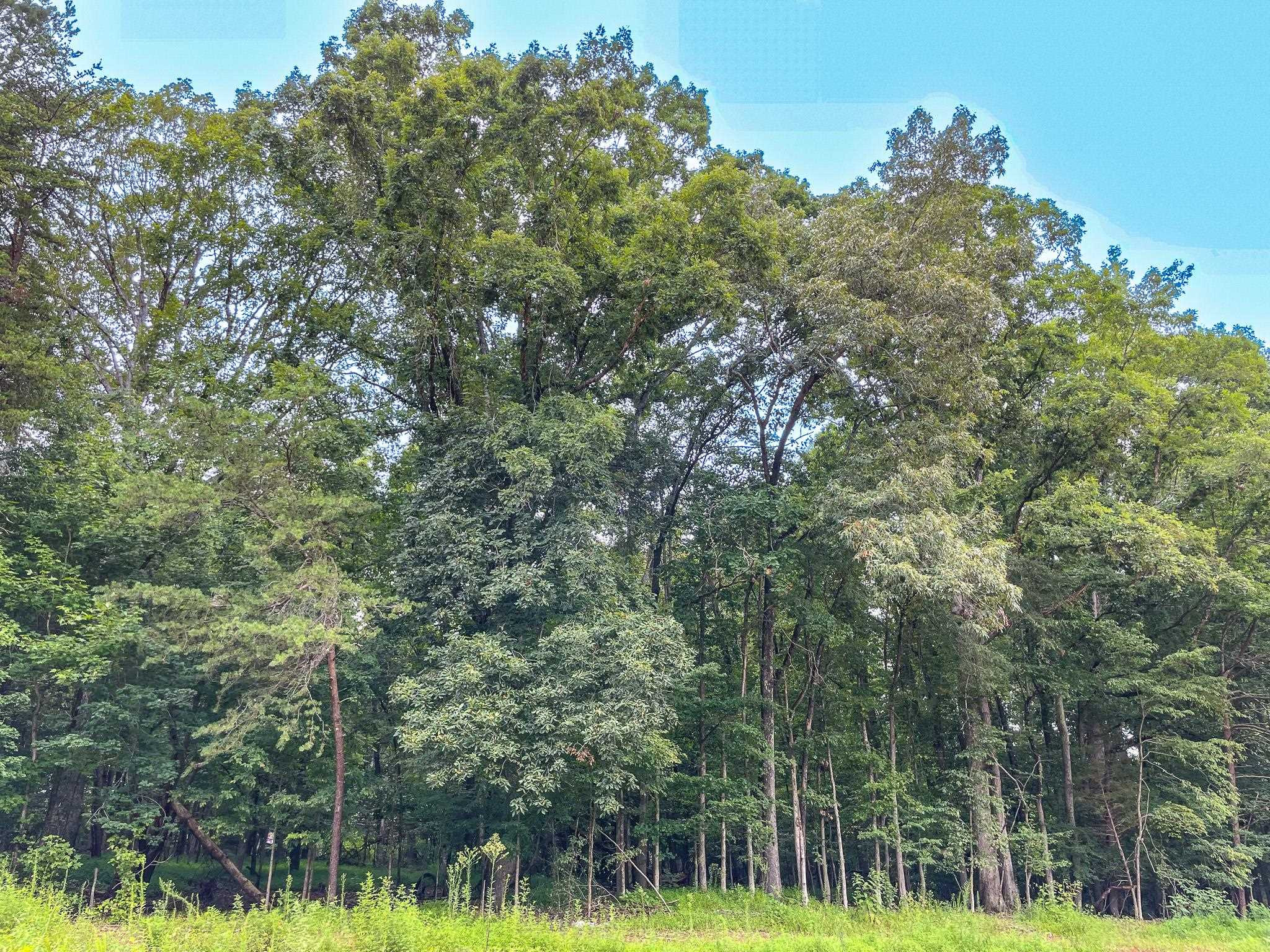 Lot E Amber Road Timberlake, NC 27583 - Photo 16 of 17 Photo 16