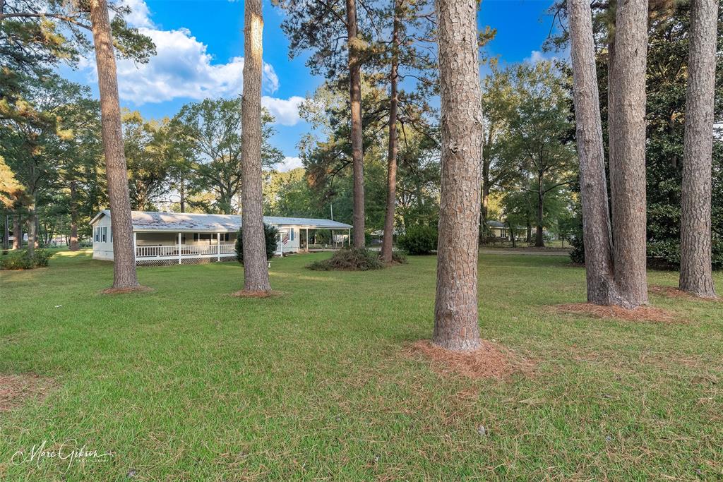 9336 Dean Road Shreveport, LA 71118 - Photo 4 of 25 Back of home