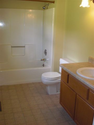 80 Mallard Point Road Wirtz, VA 24184 - Photo 14 of 21 Master Bath